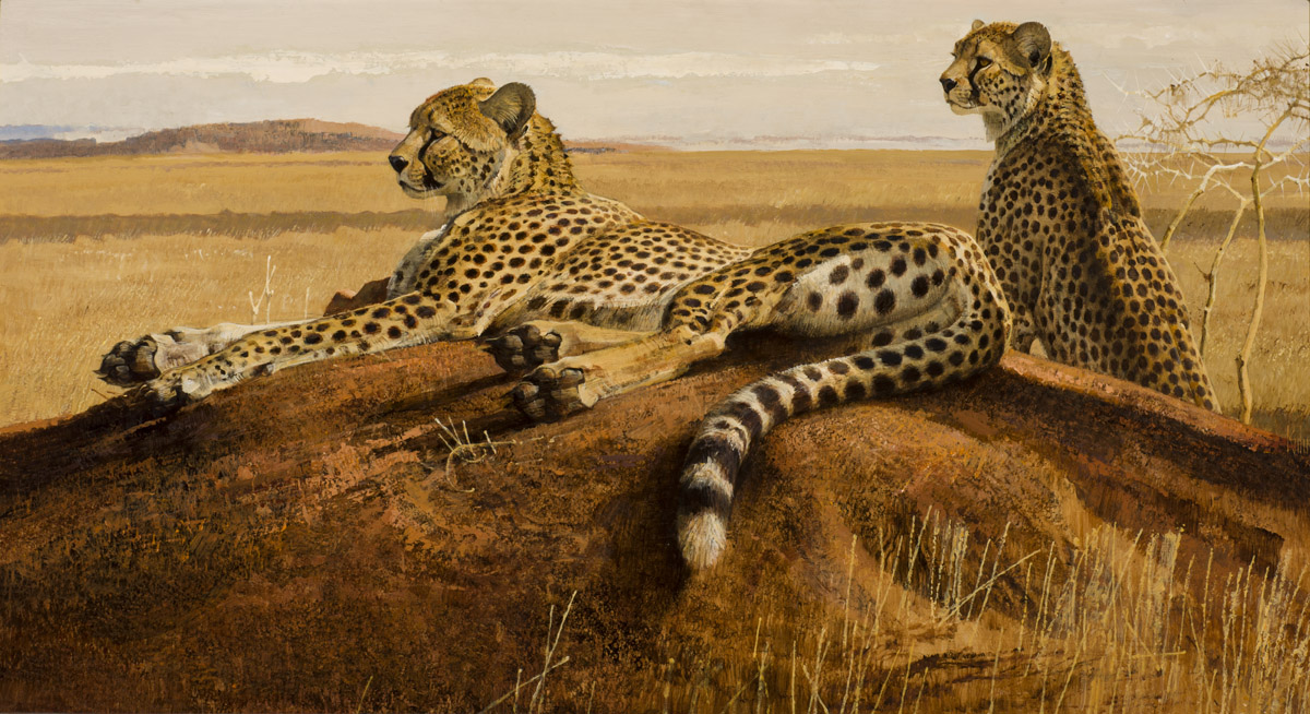 Bob Kuhn, Cheetahs on Termite Hill, acrylic on masonite