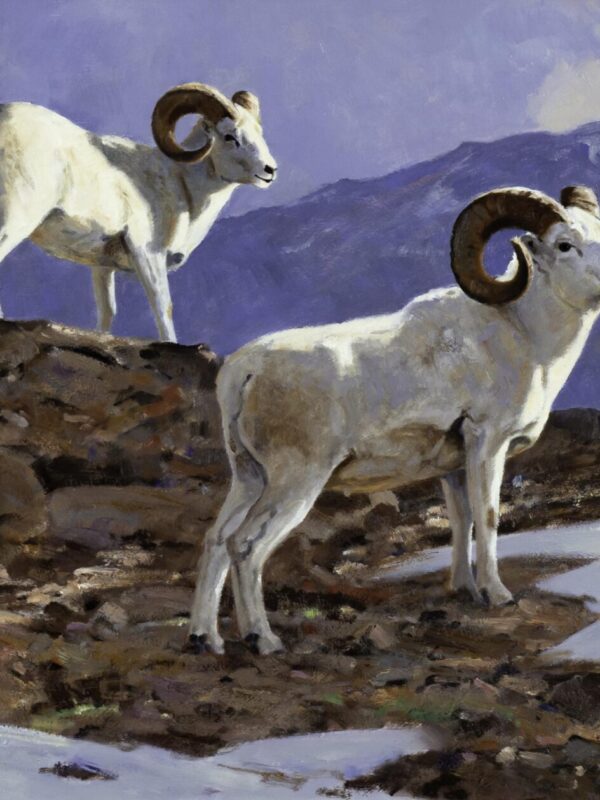 Ken Carlson_Lofty Terrain