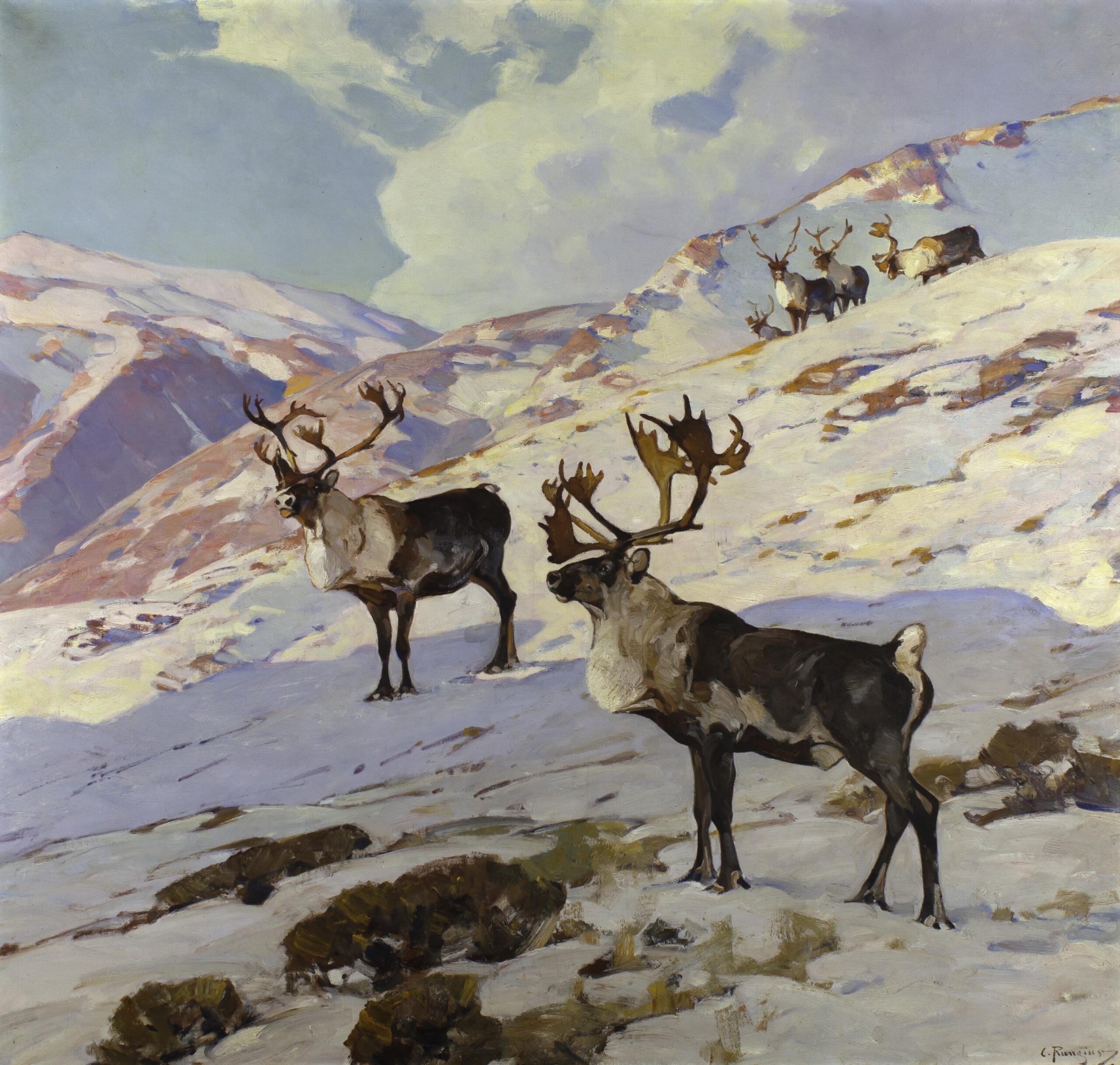 Rungius-Carl-1869-1959-Untitled-Caribou-on-a-Snowy-Mountain-oil-on-canvas
