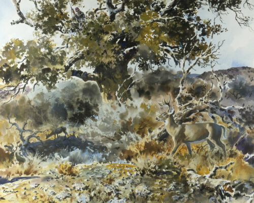 John Cowan, Deer Stand