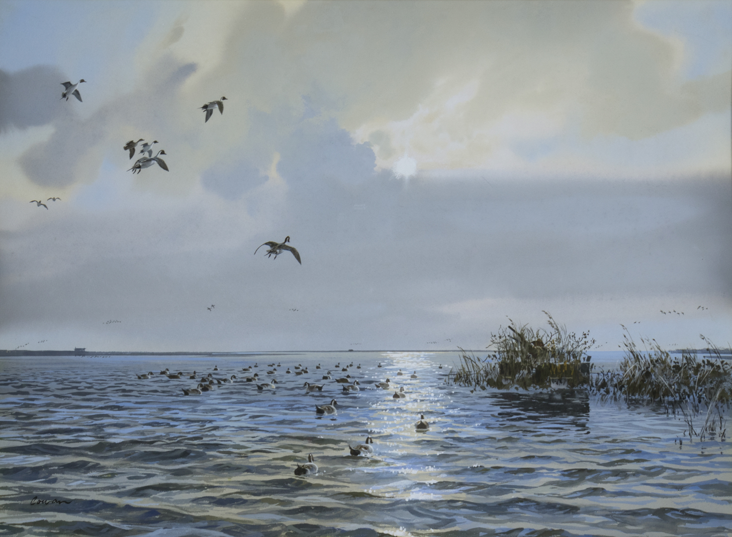 Pintails in Rockport, TX by artist John Cowan