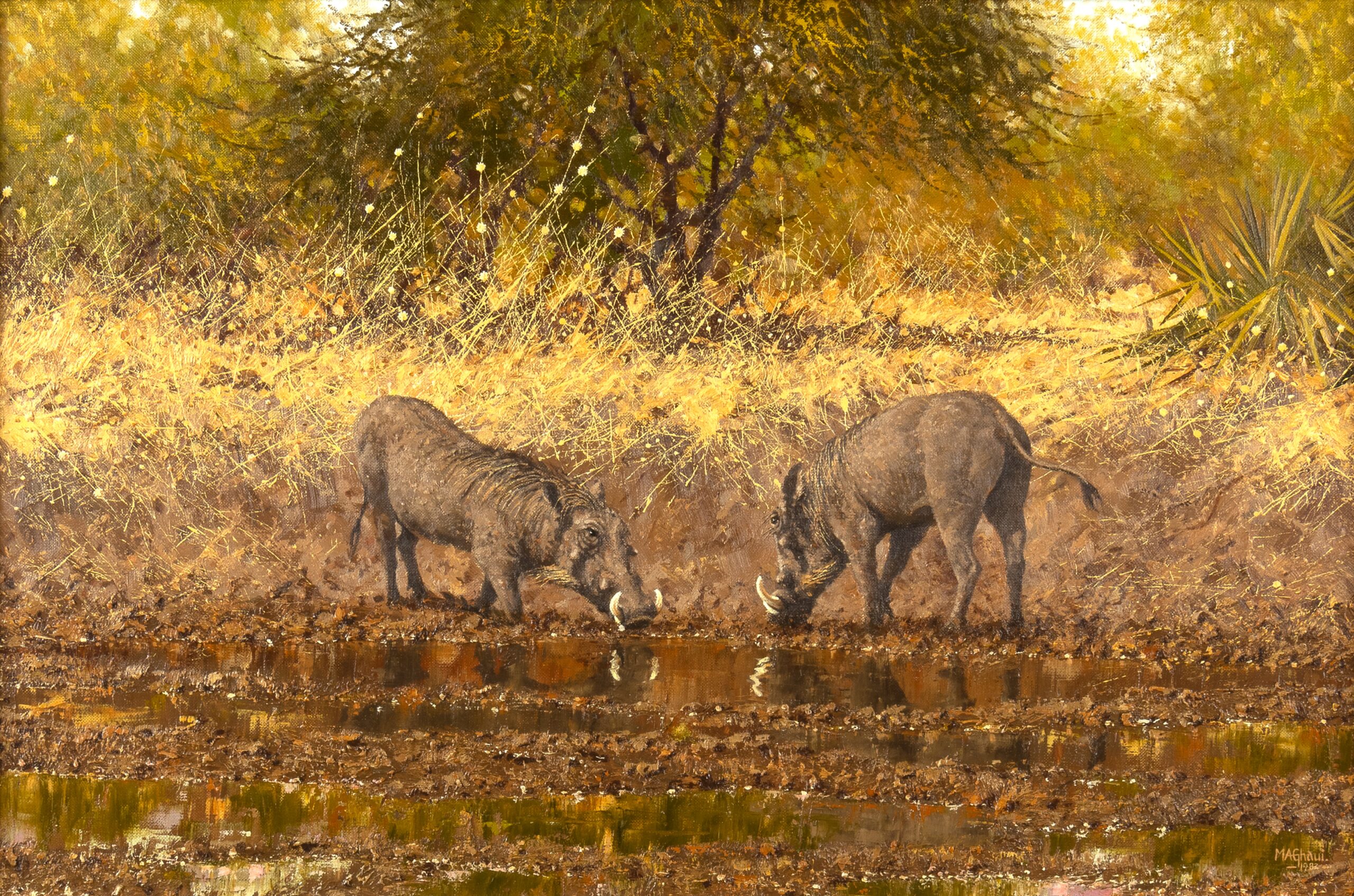 Michael Ghaui, Warthogs at the Waterhole