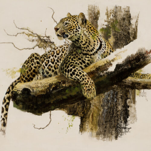 Kuhn-Bob-1920-2007-Leopard-mixed-media-on-paper-