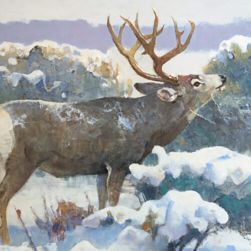 Kuhn-Bob-1920-2007-Winter-Browse-Mule-Deer-acrylic-on-board