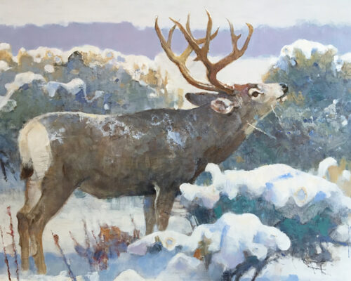 Kuhn-Bob-1920-2007-Winter-Browse-Mule-Deer-acrylic-on-board