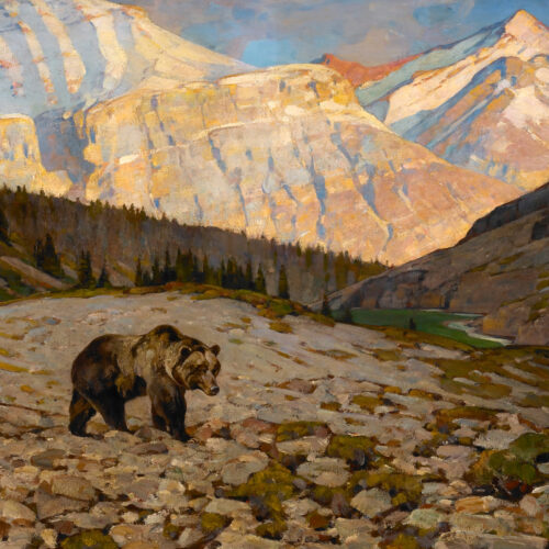 Rungius-Carl-1869-1959-Grizzly-Bear-oil-on-canvas