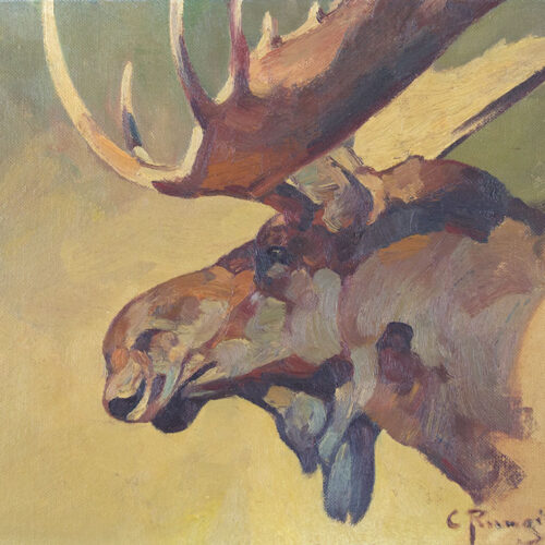 Rungius-Carl-1869-1959-Moose-Head
