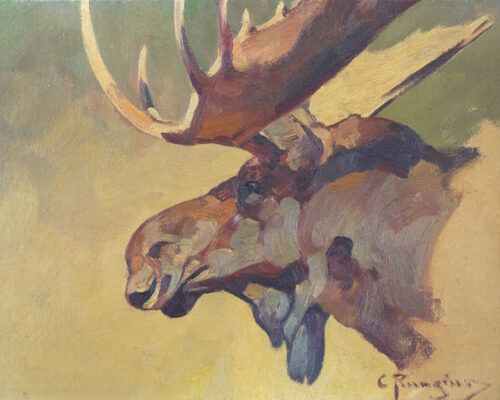 Rungius-Carl-1869-1959-Moose-Head
