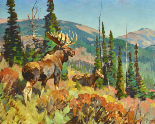 Rungius-Carl-1869-1959-Moose