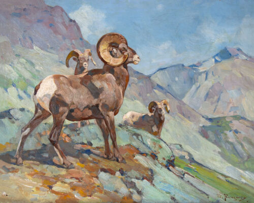 Rungius-Carl-1869-1959-Rainbow-Rams-oil-on-canvas