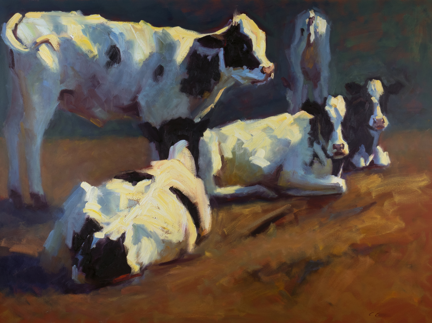 cows