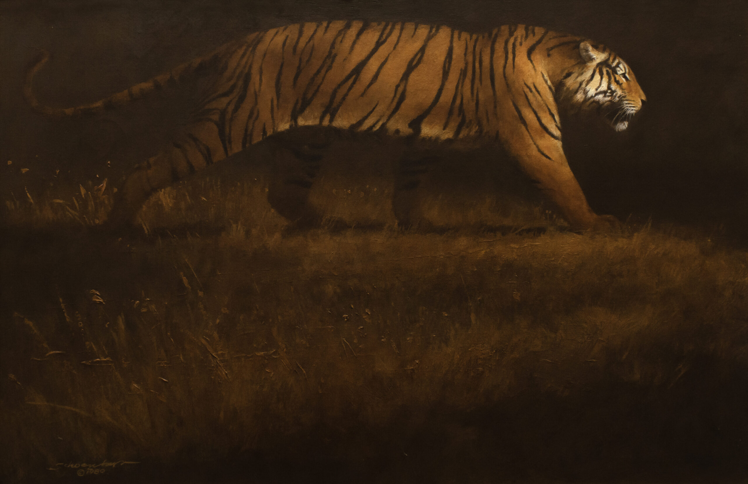 Schoenherr-John-1935-2010-Striding-Tiger-oil-on-canvas