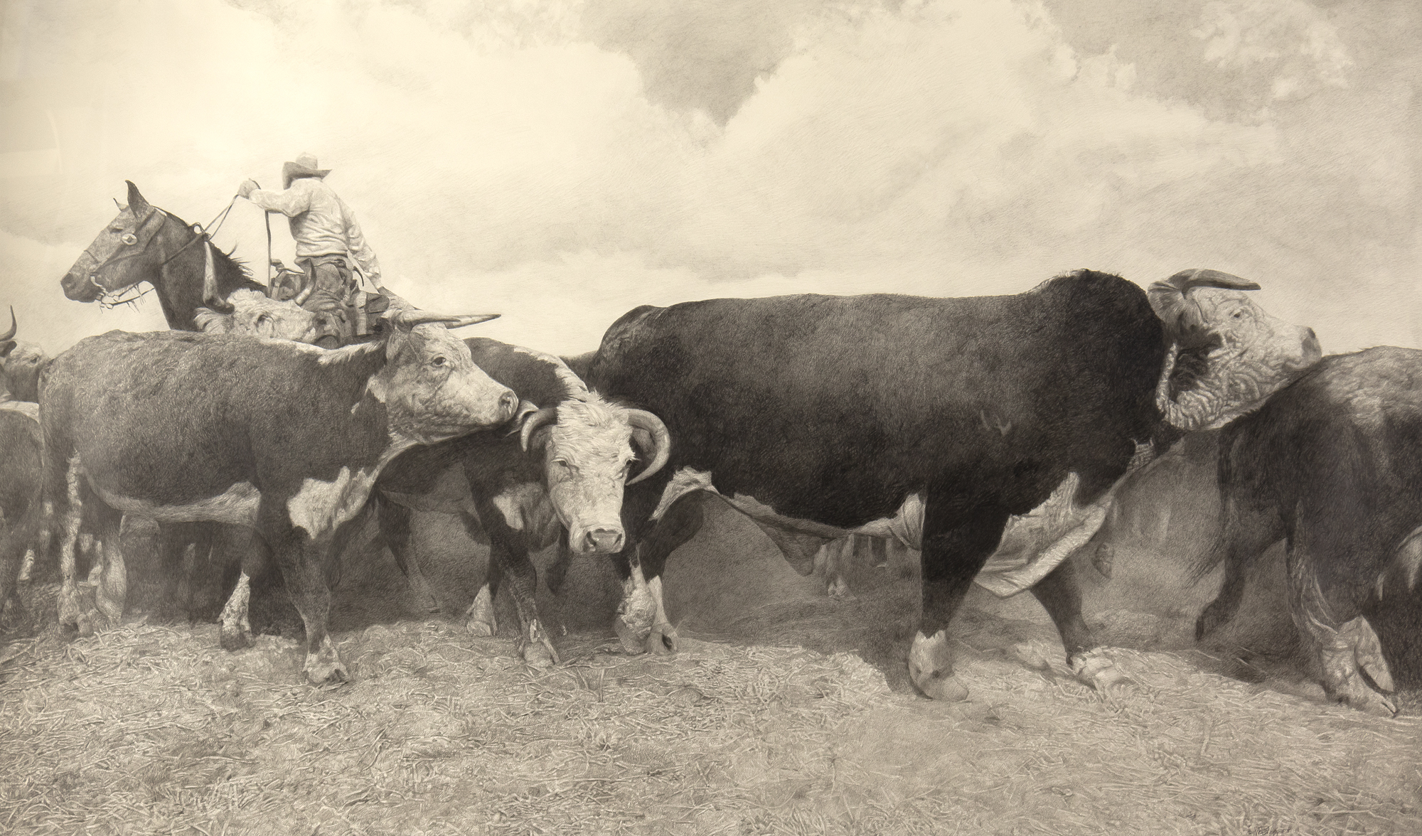 Woodrow Blagg (1946- ) Bull Rush, 2008 graphite on rag paper