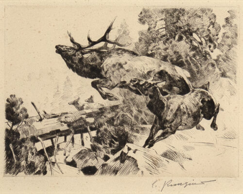 Carl Rungius (1869-1959), Stampede