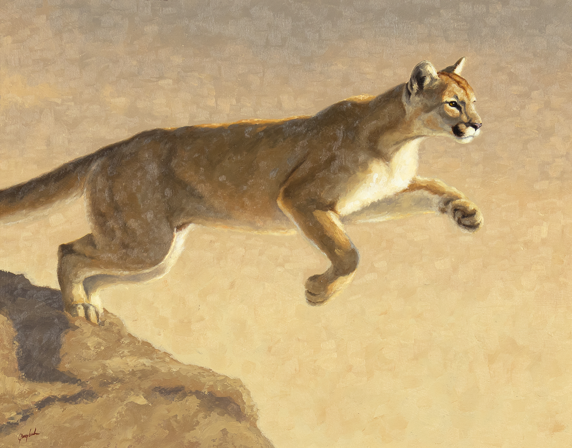 Greg Wilson (1962- ) Pouncing Puma oil on board 11 x 14