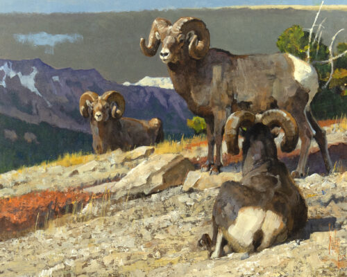 Bob Kuhn (1920-2007) Three Trophy Rams, 1985 Acrylic On Board