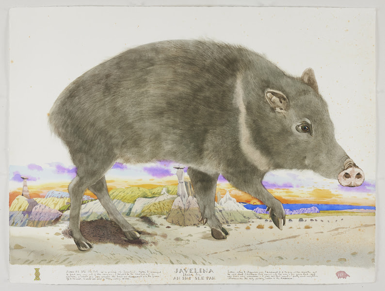 Scott Kelley (1963- ) Javelina - The Ah-Shi-Sle-Pah Orchestra watercolor, gouache & graphite on paper 30 x 40