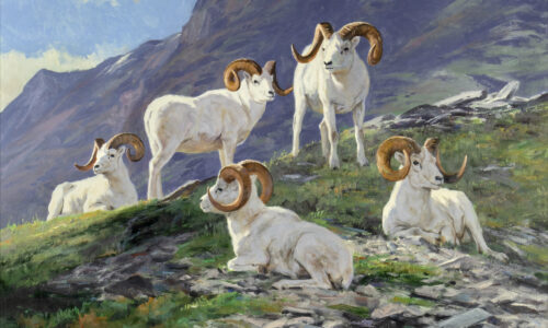 Ken Carlson (1937- ) Spring Slopes Oil On Board 24 X 36