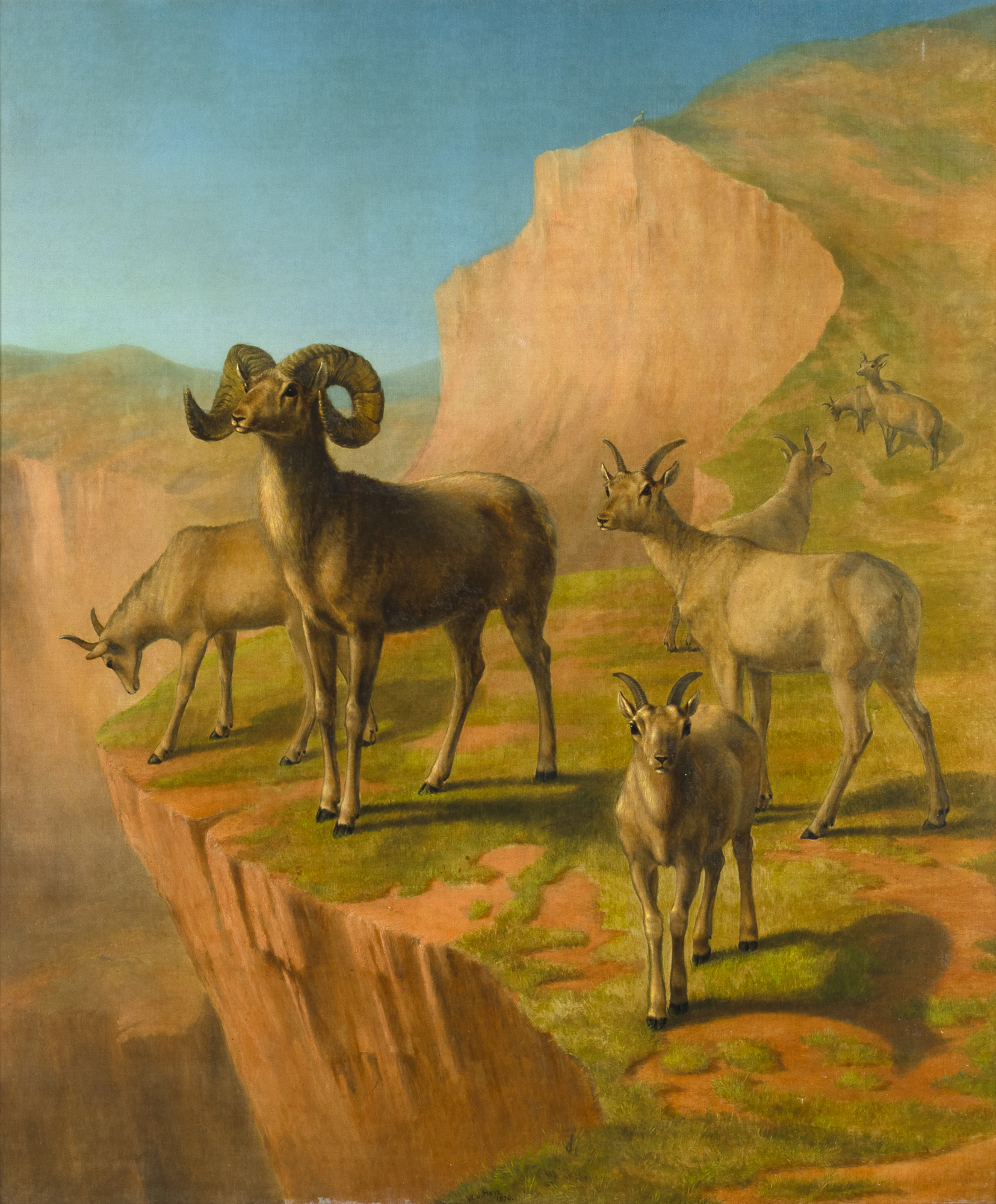 William Hays, Sr. (1830-1875) Rocky Mountain Sheep, 1870 oil on canvas 36 x 30